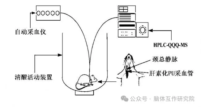自动采血系统在药动学分析的应用_生物器材网