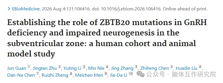 eBioMedicine｜中南大学李家大/门美超/朱京谭团队：ZBTB20 重塑脑嗅球 - GnRH 神经轴，阐明先天性性腺减退发病通路