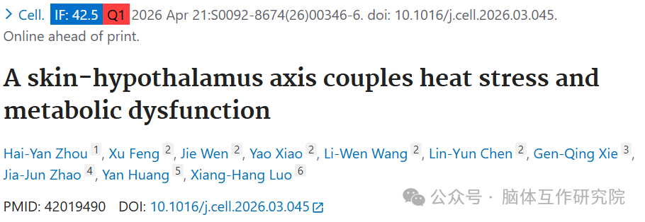Cell ｜罗湘杭（中南大学）& 赵家军（山东大学）团队：皮肤 - 下丘脑轴偶联热应激与代谢功能障碍