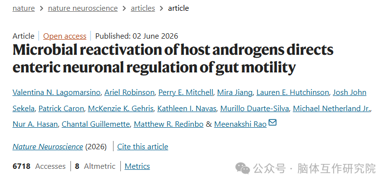 Nat Neurosci ：Meenakshi Rao 团队发现菌群 - 雄激素介导的肠 - 脑轴调控新通路