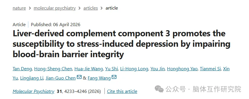 Mol Psychiatry｜华中科技大学王芳/陈建国团队：肝 - 脑轴 C3 信号破坏伏隔核血脑屏障诱发应激抑郁