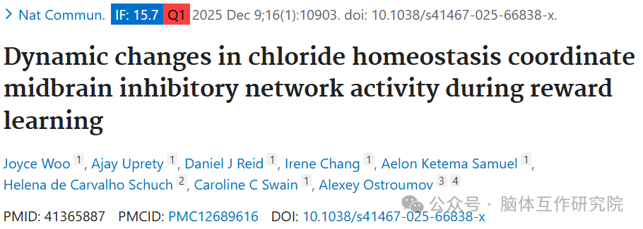 nature communications||华治城大学 Ostroumov 团队：氯离子稳态动态协调中脑抑制性网络