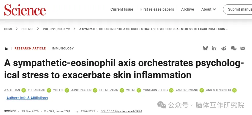 Sci｜复旦大学脑科学研究院柳申滨团队揭秘“脑-皮”对话：交感神经-嗜酸性粒细胞交互驱动的皮肤炎症微环境