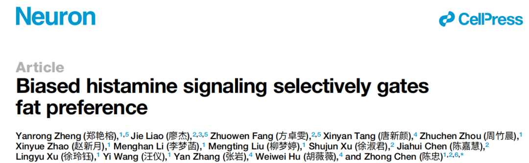 Neuron:陈忠教授团队揭示丘脑组胺受体调控高脂饮食偏好性的分子-细胞机制