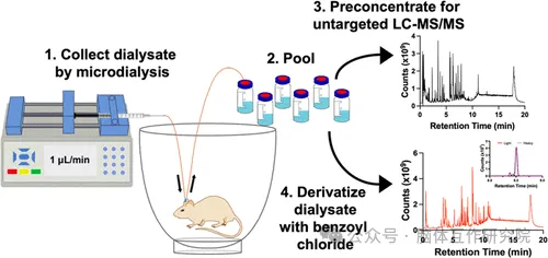 脑体互作研究前沿技术解读