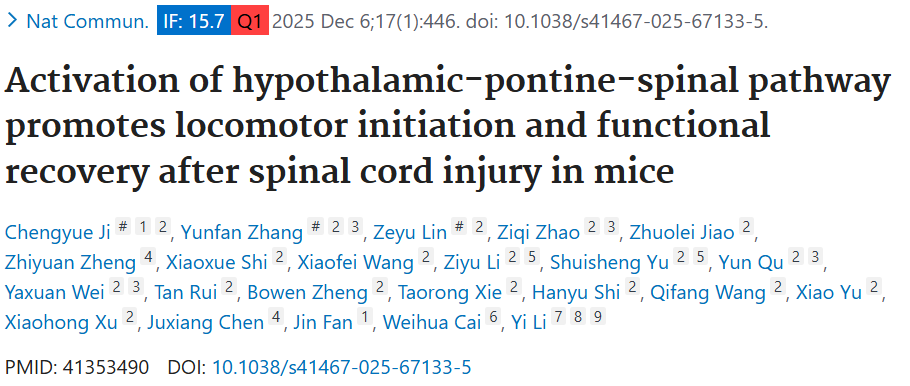 Nature communication| 脑智卓越中心李毅团队发现下丘脑 - 脑桥 - 脊髓通路是脊髓损伤修复关键