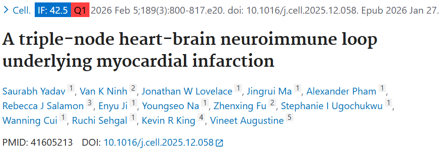 Cell ||加州大学揭示心肌梗死的三重节点心 - 脑神经免疫环路机制