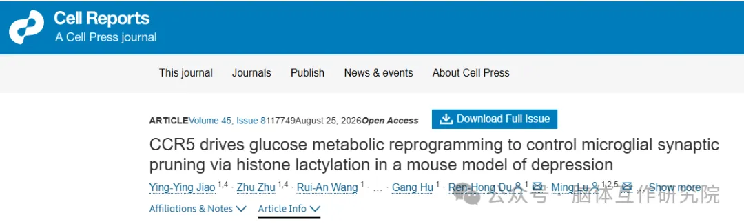 Cell Reports｜南京医科大学鲁明 / 杜仁红团队：CCR5 - 乳酸 - H4K12la 轴驱动小胶质过度修剪突触诱发抑郁