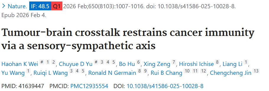 Nature | 耶鲁 + 宾大重磅：感觉 - 交感神经轴介导肿瘤 - 脑对话调控抗肿瘤免疫