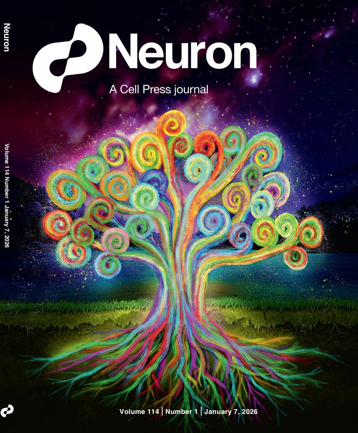 神经科学研究所-严军组研究论文登上《Neuron》杂志封面！