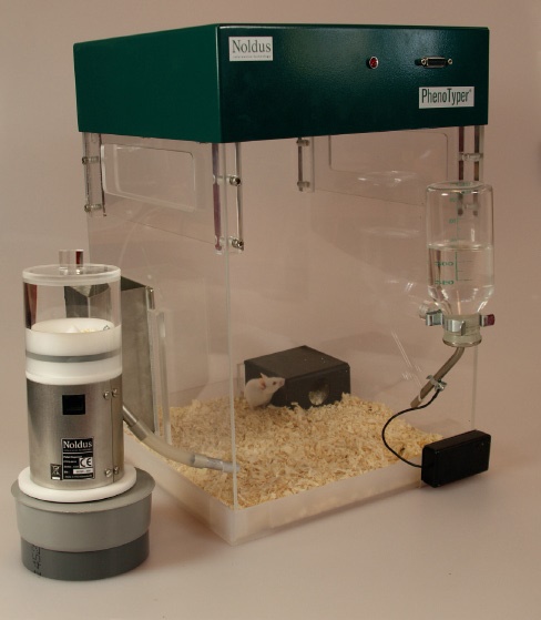 鼠类家居行为观测箱