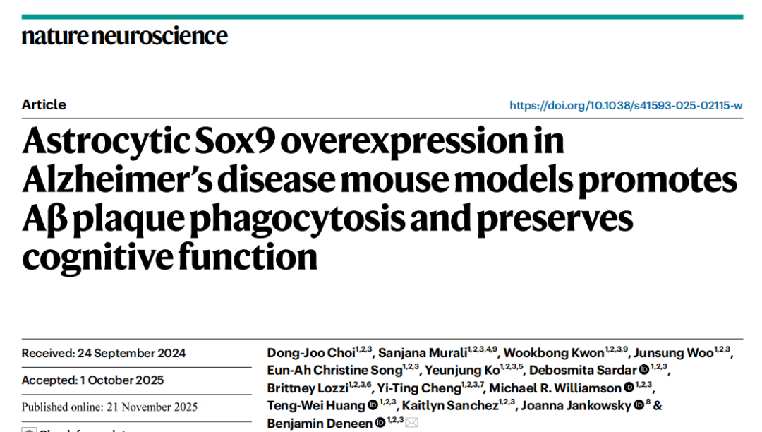 Nature Neuroscience：科学家揭示海马星形胶质细胞Sox9通过MEGF10吞噬Aβ斑块