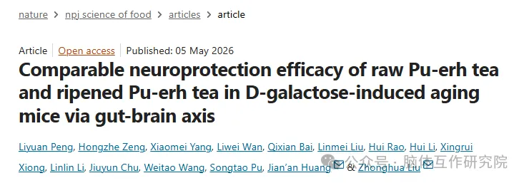 npj Sci Food｜刘仲华团队：生/熟普洱茶经“肠 - 脑轴”等效护脑，菌群 - 鞘脂代谢为关键