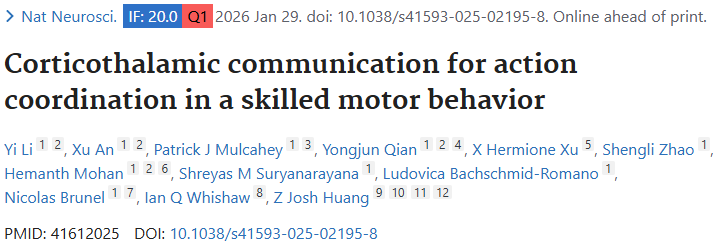 Nature Neurosci |杜克大学黄佐实团队揭示运动协调的皮层 - 丘脑通讯核心机制